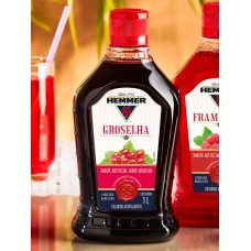 XAROPE DE GROSELHA 1L HEMMER
